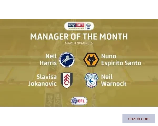 卡迪夫城迎战狼队英伦德比焦点之夜胜负悬念十足赛前形势与战术看点全解析